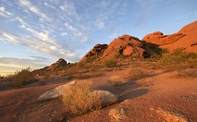 Hyatt Airport Phoenix 3*